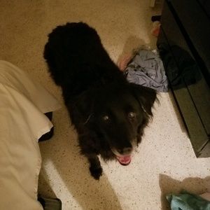 Meet your Posher, Anne